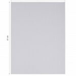 Carton Toile